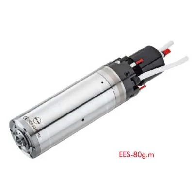 EES-80g.m Engraving Spindle