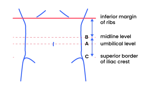 Measure your waist circumference